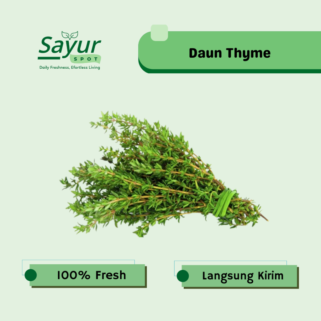 Daun Thyme Segar | Sayur Spot Bekasi
