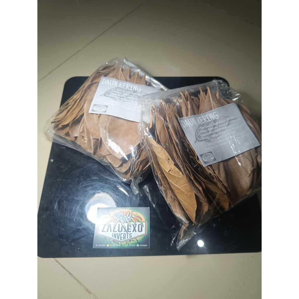 Daun kering bioactive vivarium terarium enclouser display reptile tarantula kalajengking
