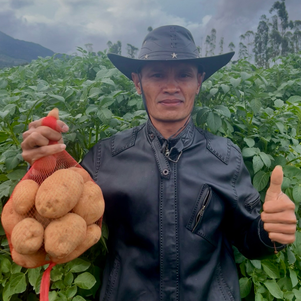 Kentang Dieng Jumbo 1kg Fresh isi 5 - 7 Butir
