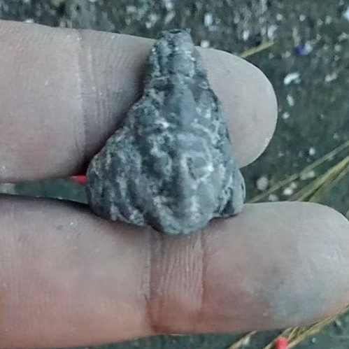 cincin temuan darat minus patah