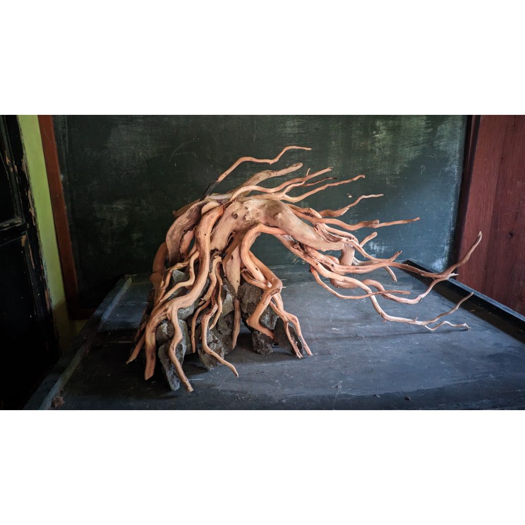 hardscape aquascape natural 60cm