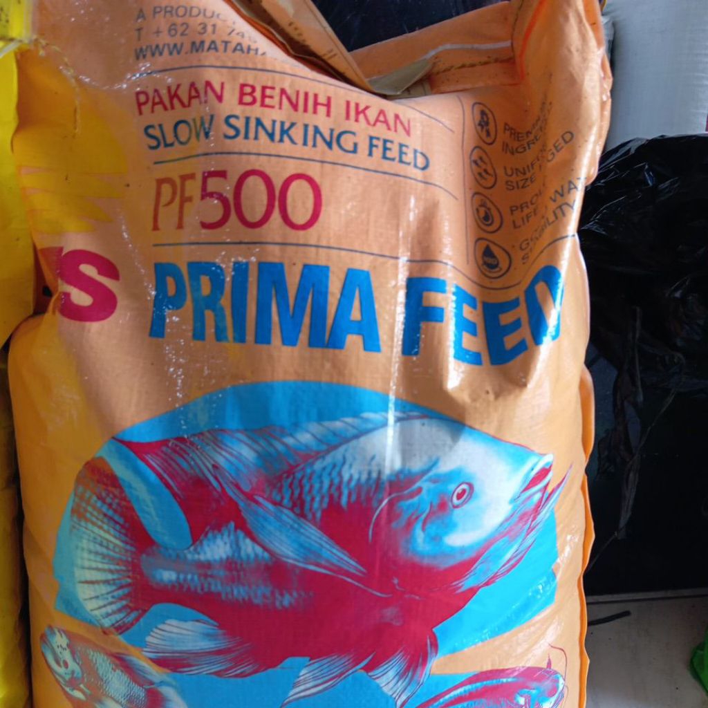 PF 500