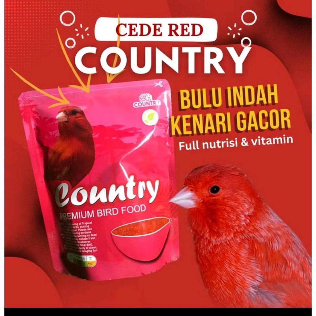 Country cede red intensive canary pakan burung kenari merah merona