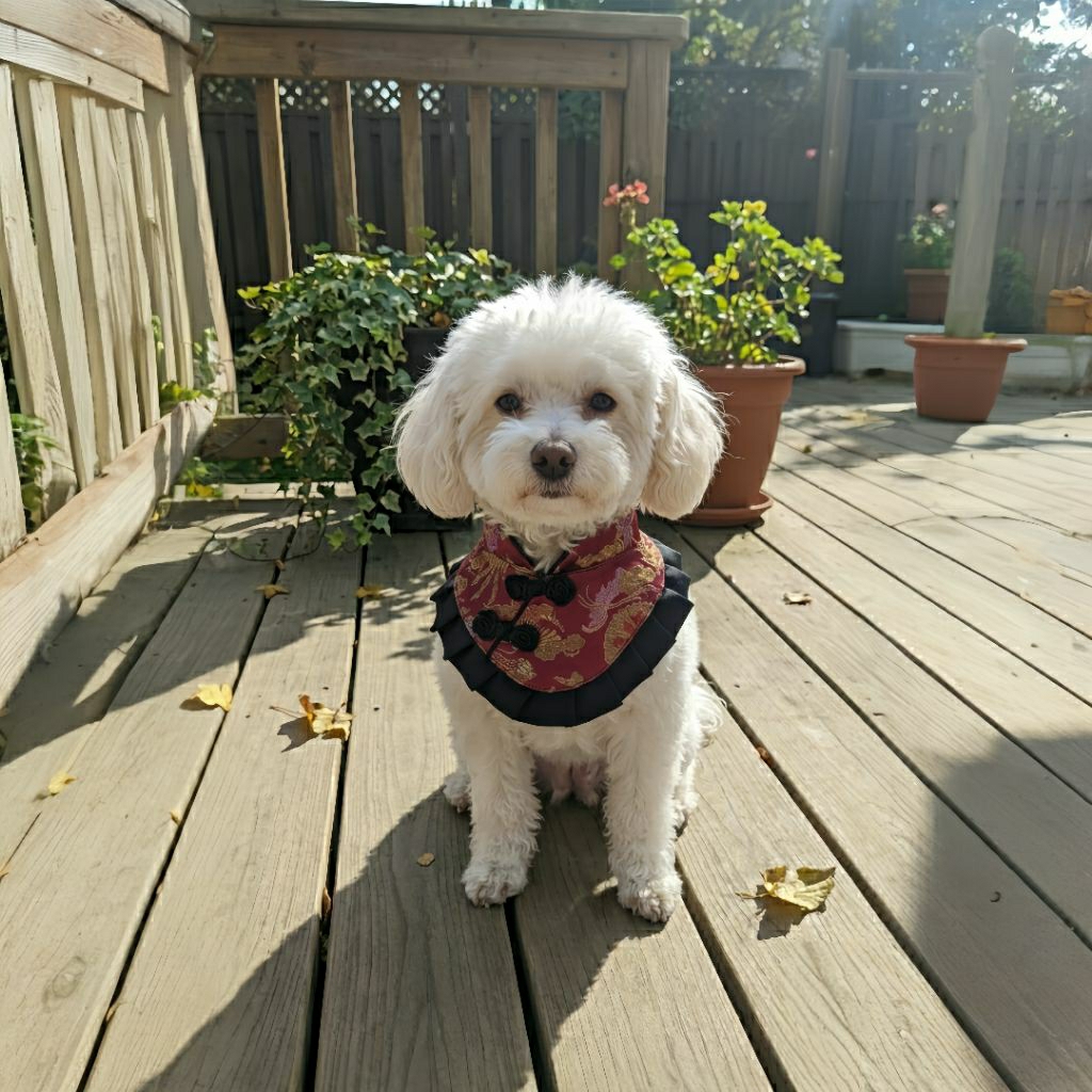 BAJU ANJING BAJU KUCING BIB ANJING BAJU IMLEK aksesoris anjing