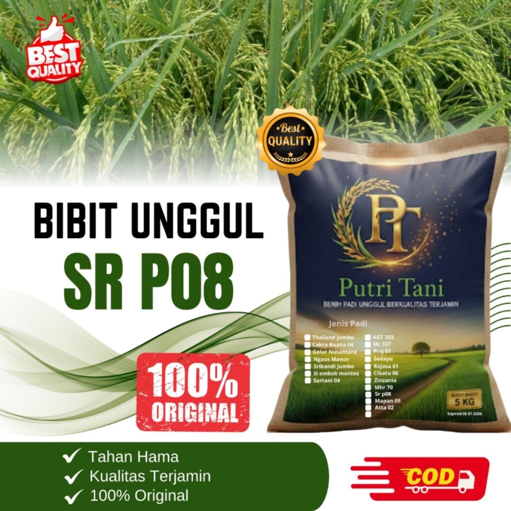 BIBIT PADI SR P 08 KEMASAN 5KG