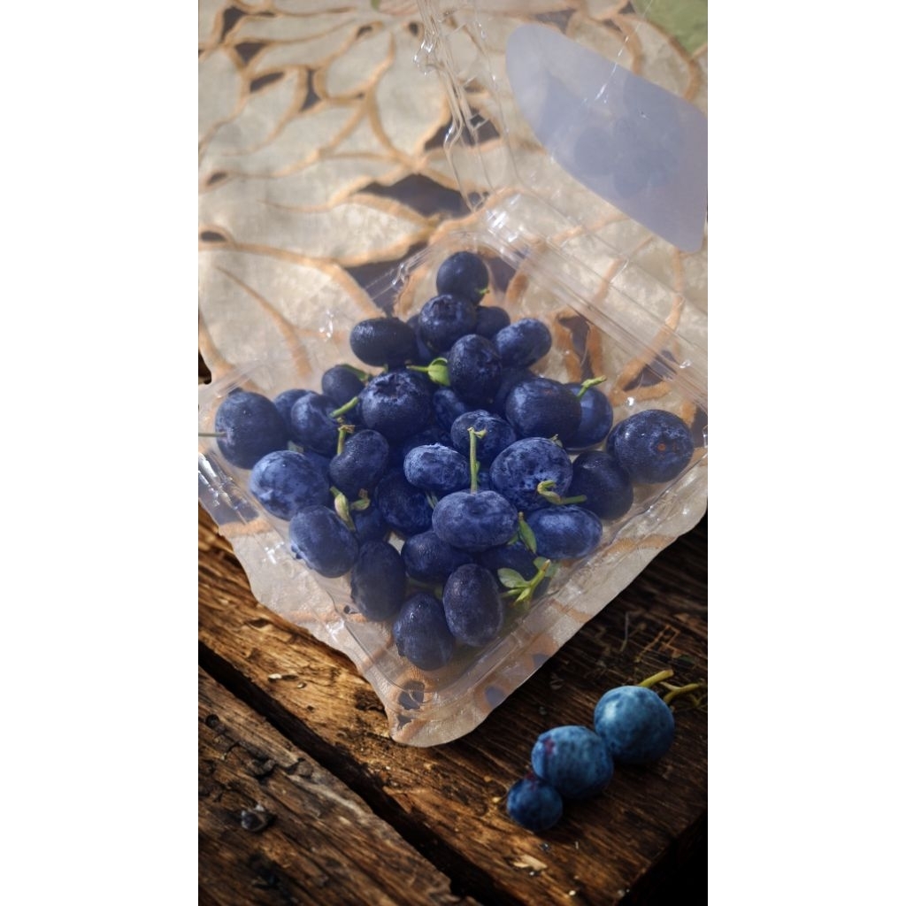 BUAH BLUEBERRY FRESH IMPORT PER PACK