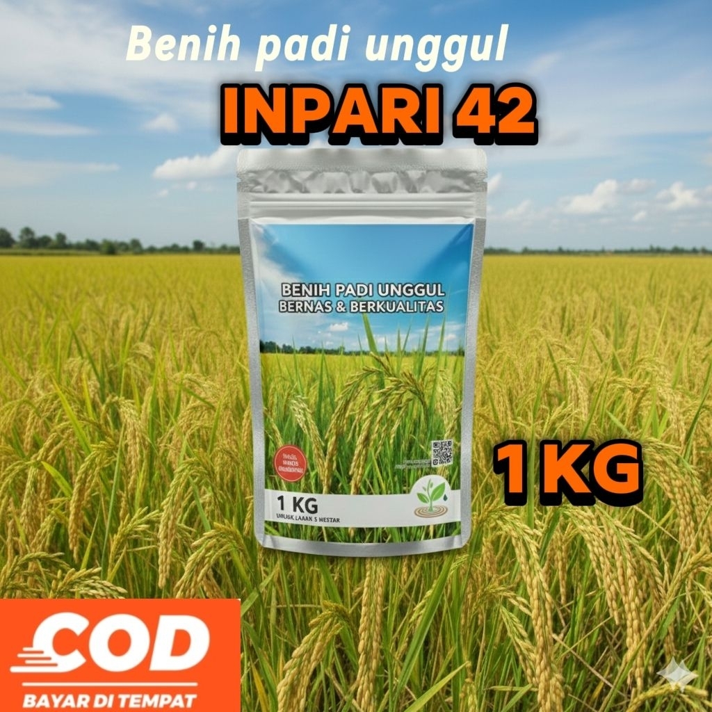 Benih padi unggul INPARI 42 kemasan 1 Kg