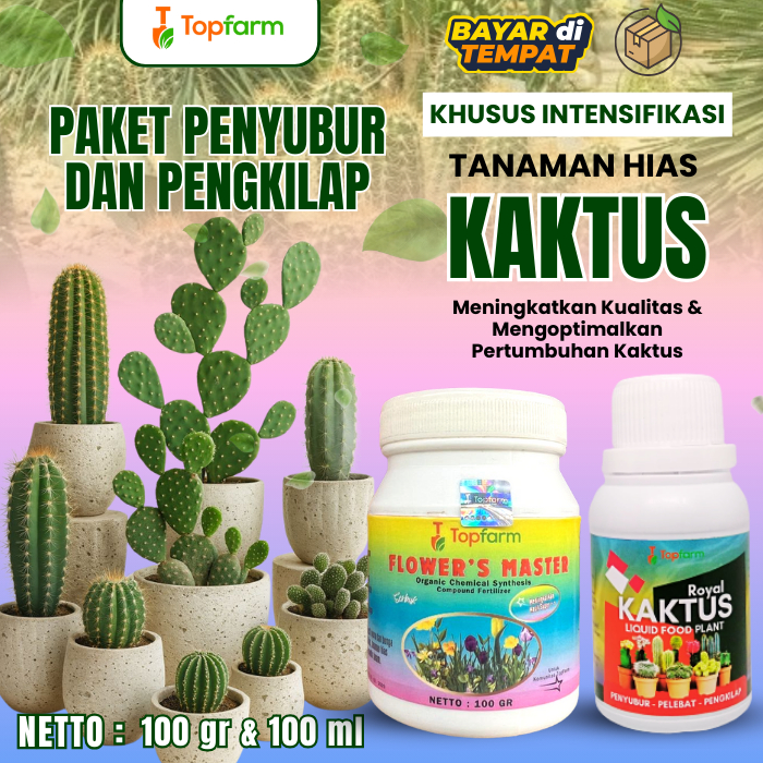 Pupuk tanaman kaktus & sukulen / pupuk penyubur kaktus sukulen / Pupuk tanaman hias kaktus pemacu pe
