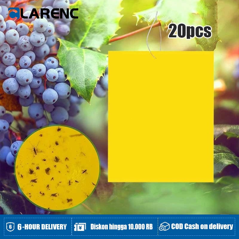 20pcs/Bag Yellow Trap Perangkap Hama Lem Perekat Lalat Buah Likat Kuning