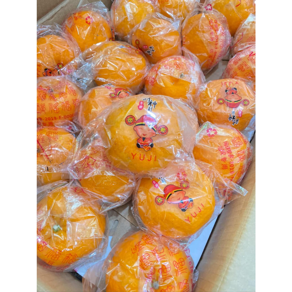 Jeruk Ponkam Premium Yuji