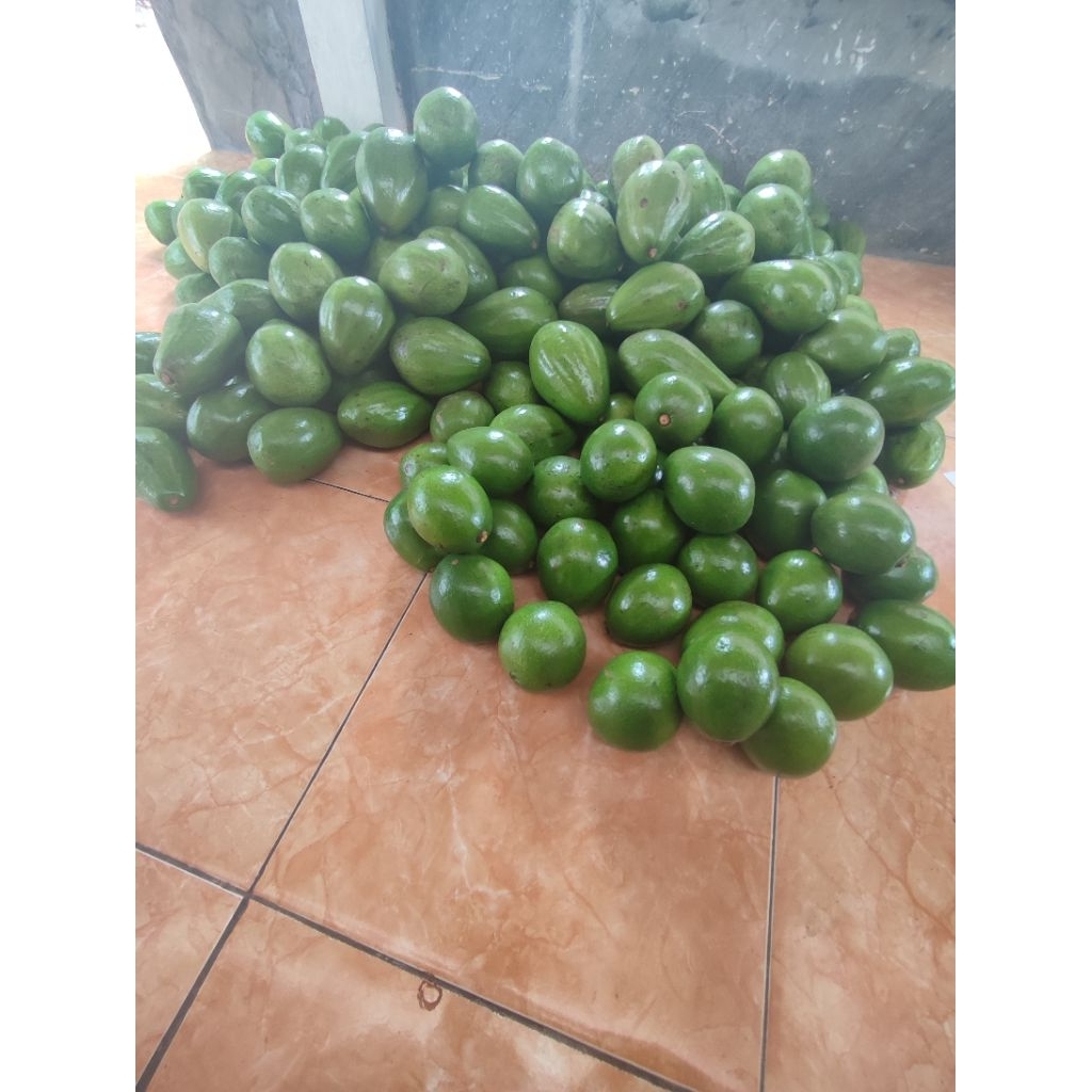 Alpukat Aligator kemasan 1kg