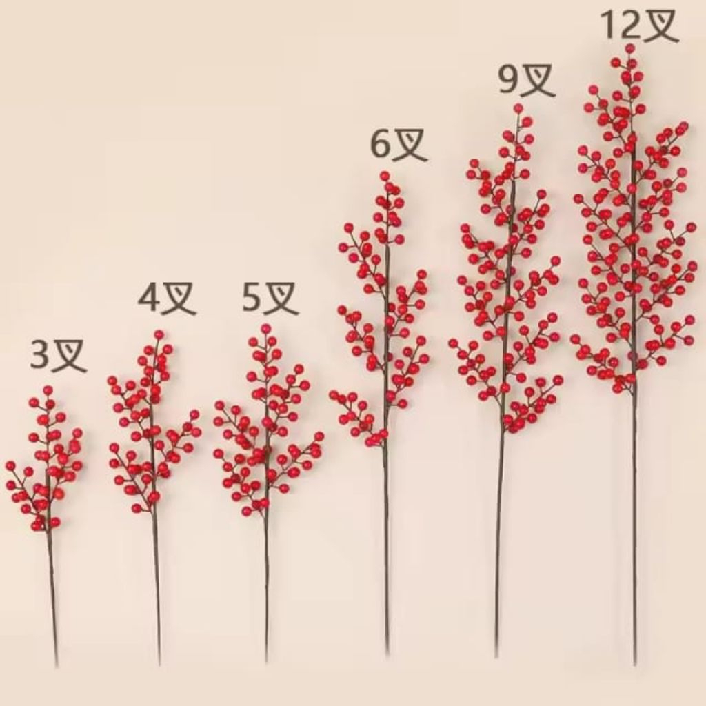 Red berry / buah cherry merah / red cherry / red cherry Christmas/ red berry imlek