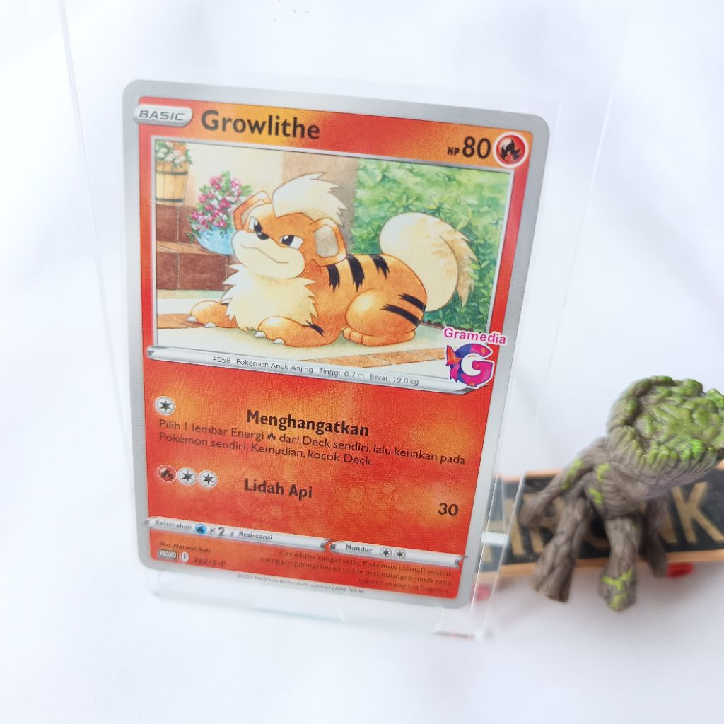 Kartu Pokemon Growlithe Promo Gramedia 262/S-P 2022 TCG Indonesia