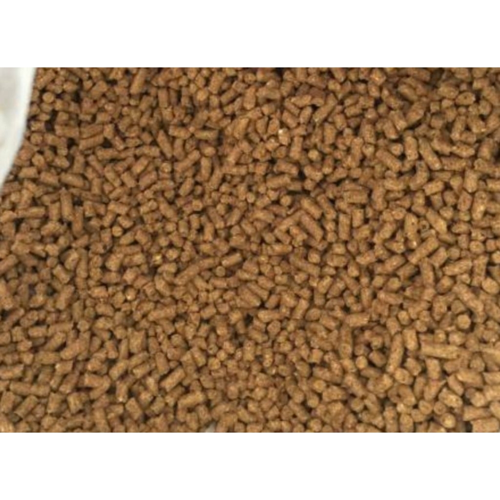 Pakan hewan ternak babi pur babi eceran curah