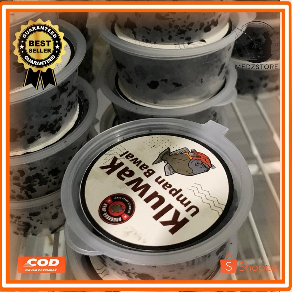 umpan ikan bawal || KLUWAK / KLUWEK || PUCUNG || kemasan 40gram siap pakai