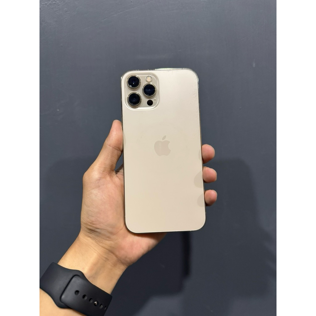 iphone 12 pro max 256gb second inter