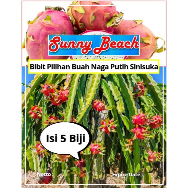 Bibit Pilihan Buah Naga Putih Sinisuka | Biji Benih Buah Naga Putih | Buah Naga Putih