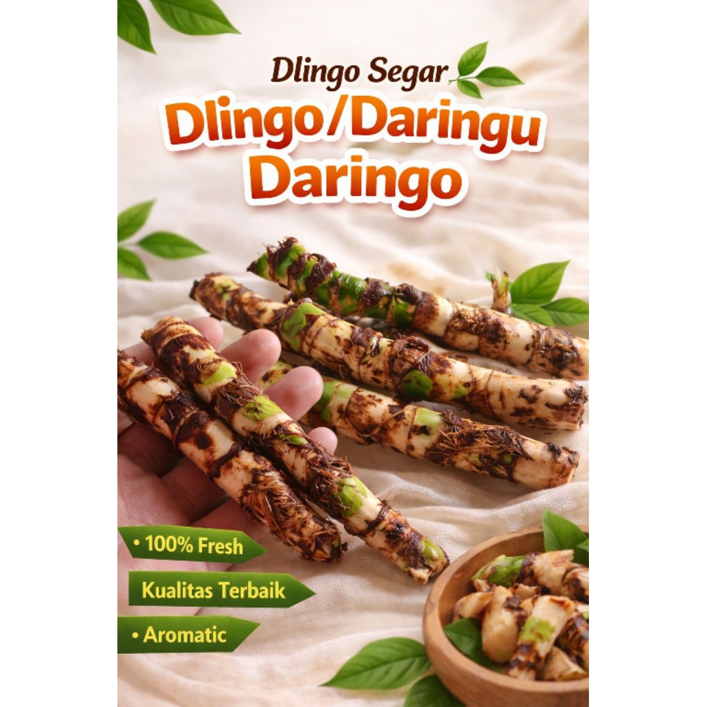 Dlingo, Dringo,Jeringau,Calamus