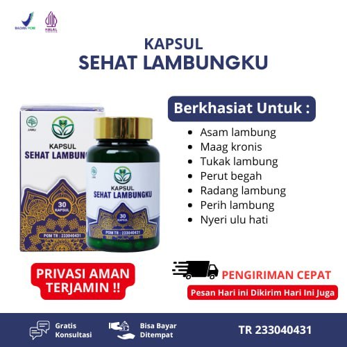 Obat Pencernaan Luka, Lambung Luka, Tukak Lambung, Lambung Bengkak, Lambung Rusak, Sakit Perut, Kemb