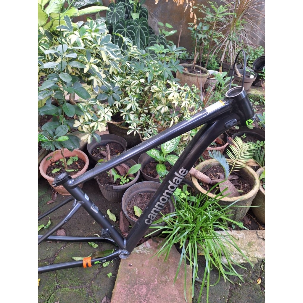 frame Sepeda MTB XC cannondale Ukuran 29 Size M Boost