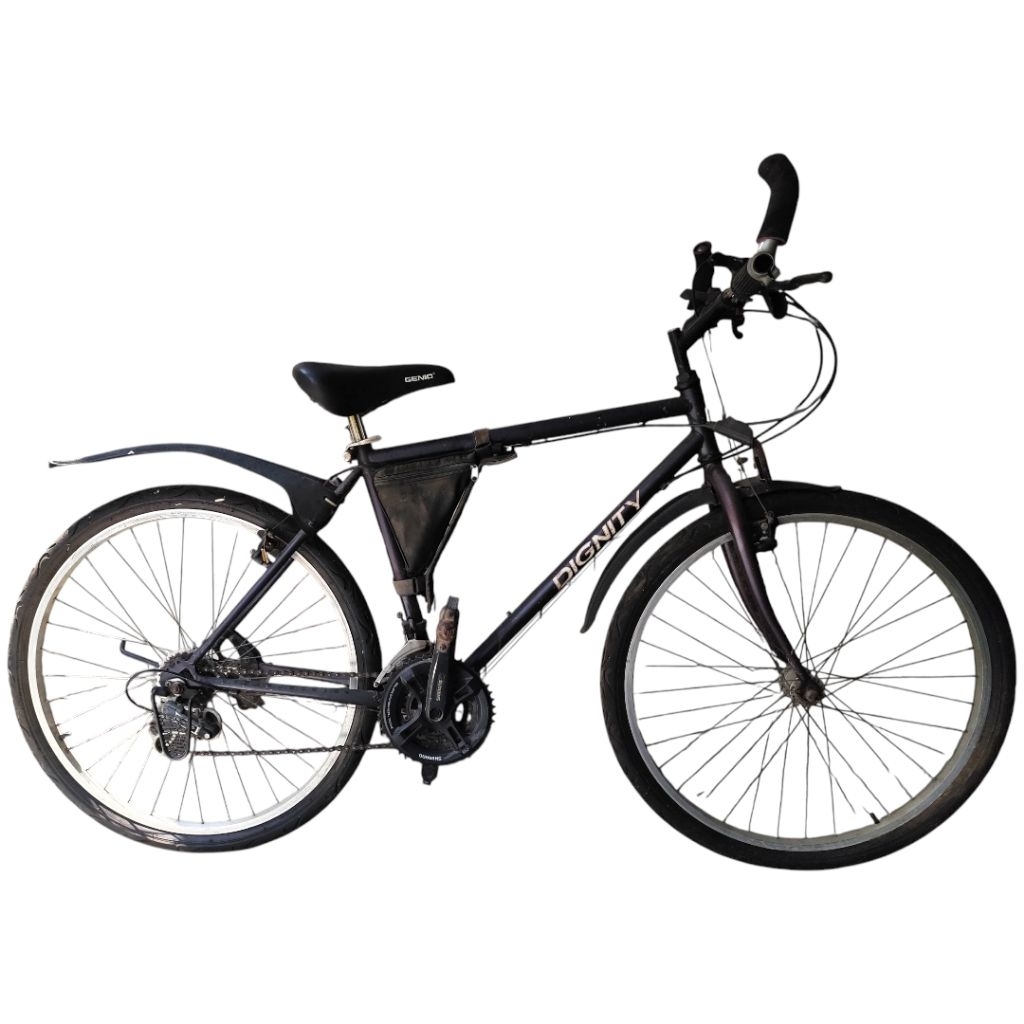 Sepeda 26 MTB Dignity Bekas Second