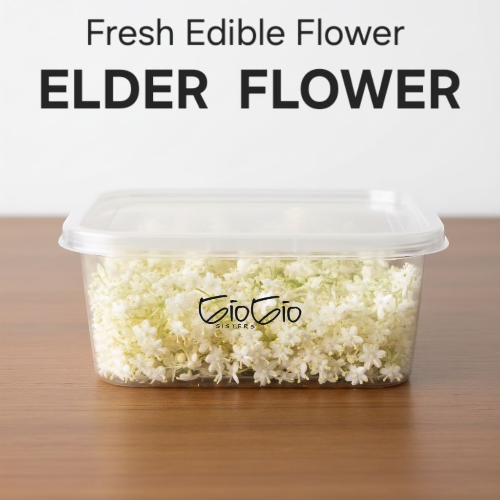 FRESH Edible Flower ELDER FLOWER | bunga fresh elder garnish cake topper hiasan makanan dekorasi mak