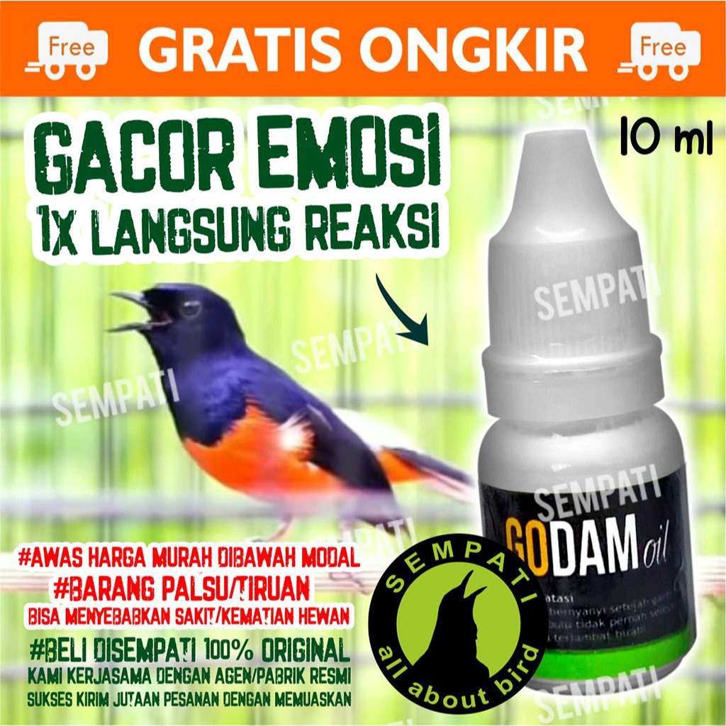 SEMPATI Godam Oil Metabolisme High Metabolis Obat Vitamin Doping Burung Murai Batu Pleci Lovebird Ka
