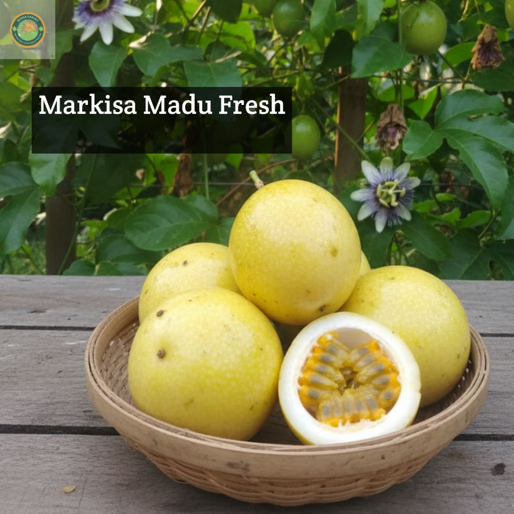 Promo Markisa Madu Fresh / Buah Markisa Segar