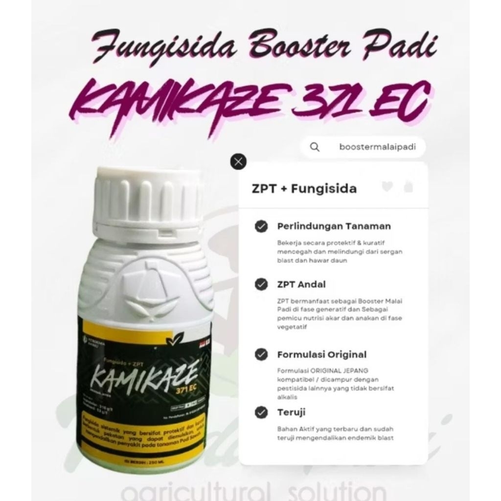 fungisida sistemik KAMIKAZE 371 EC booster tanaman padi