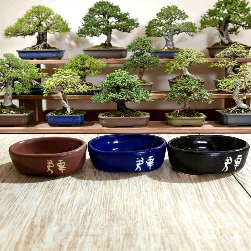 Pot Keramik Bonsai Shito Cascade Mame  1 Pcs Premium