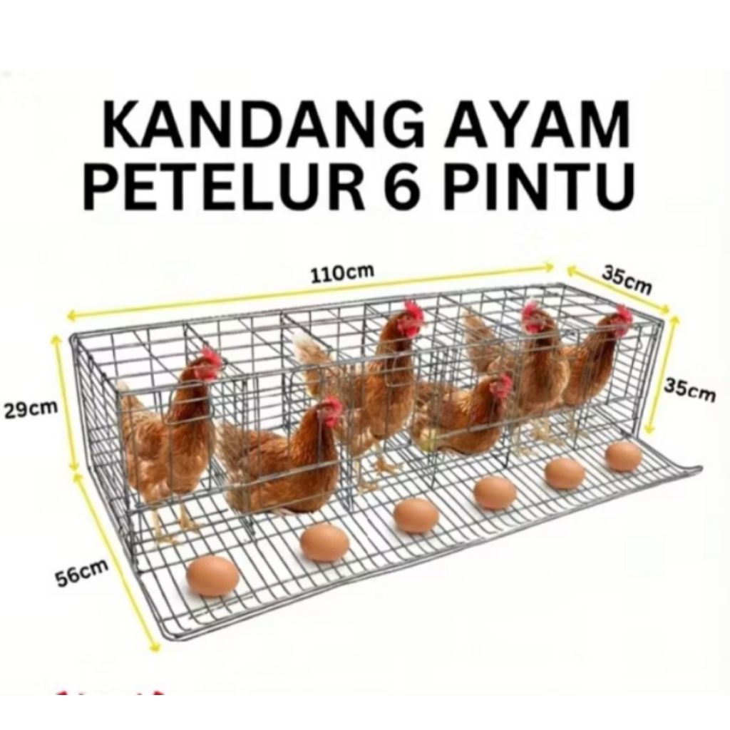 Kandang Ayam Petelur 6 Pintu Besi Super Tebel Harga Termurah
