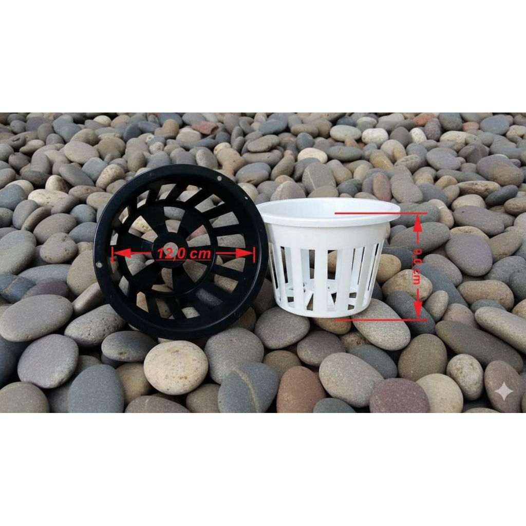 Pot bunga dan tanaman Anggrek 12cm