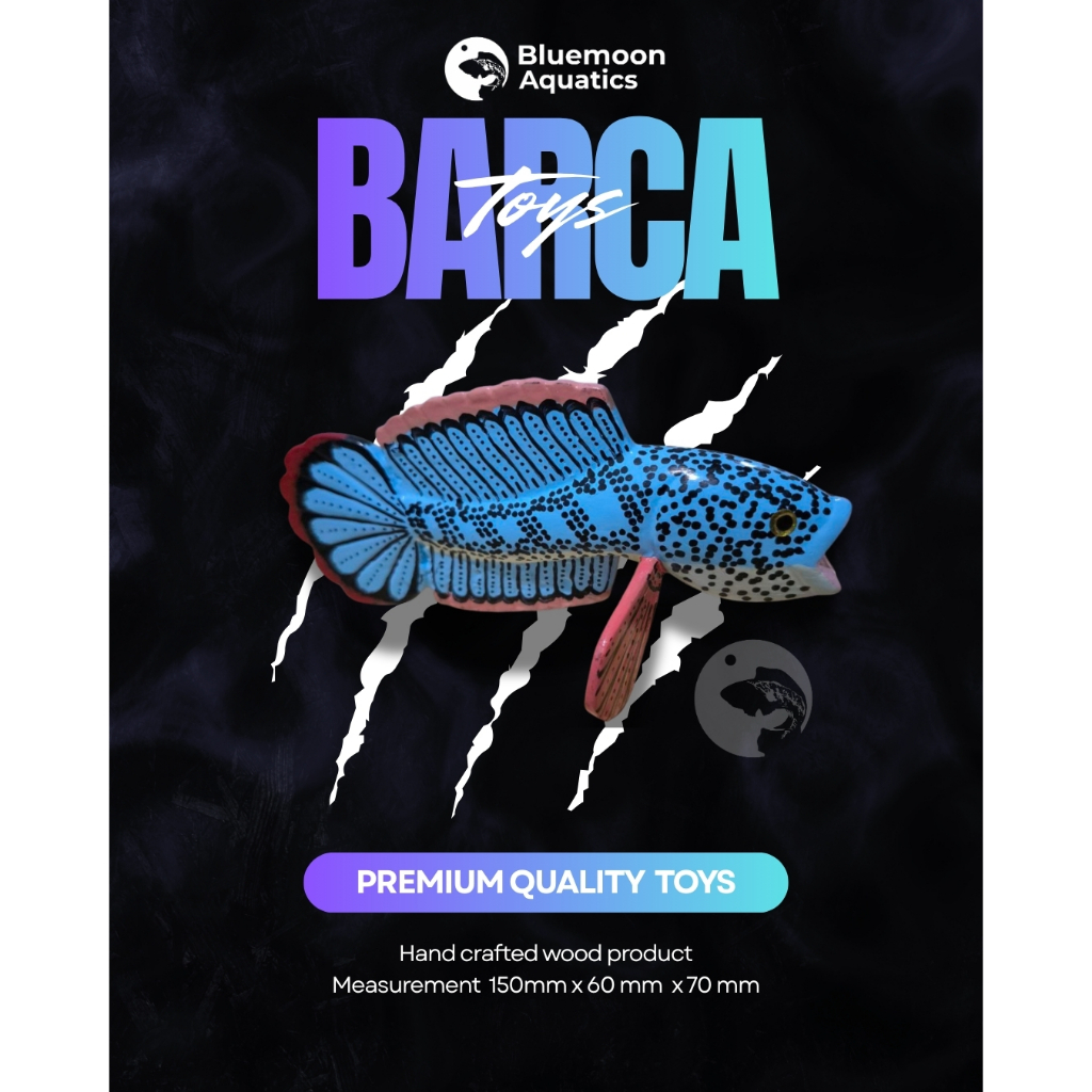 Patung Channa Barca Training Toy