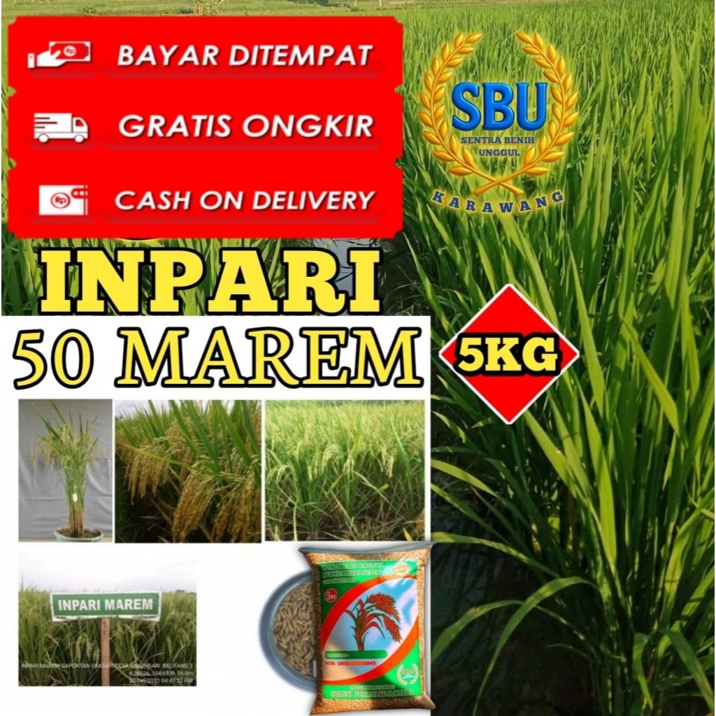 Benih Padi Unggul Inpari 50 Marem Kemasan Original 5kg