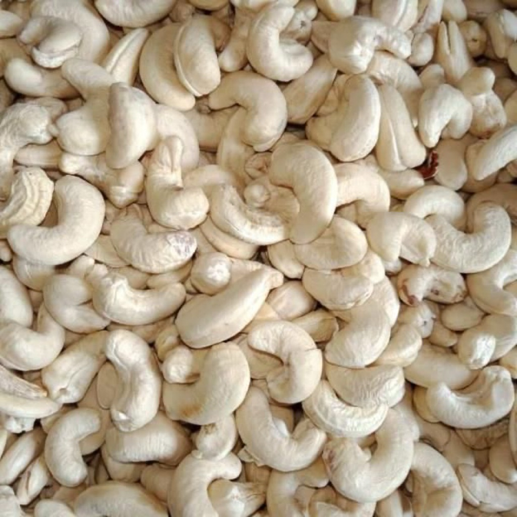 Kacang mete mentah 1kg kacang mete mentah utuh wonogiri