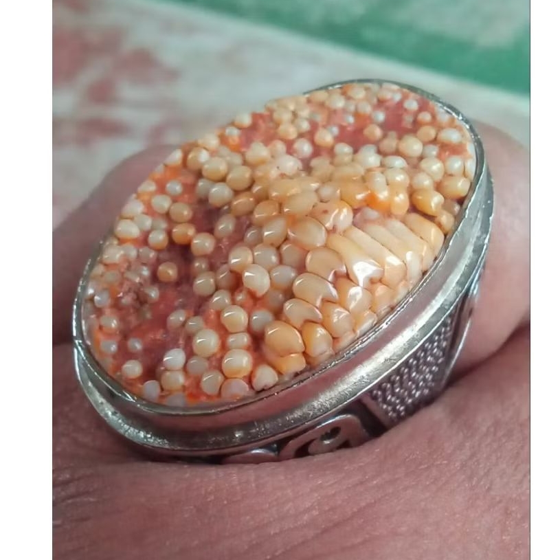 Batu Jipen Sisik Ular Ngerikil