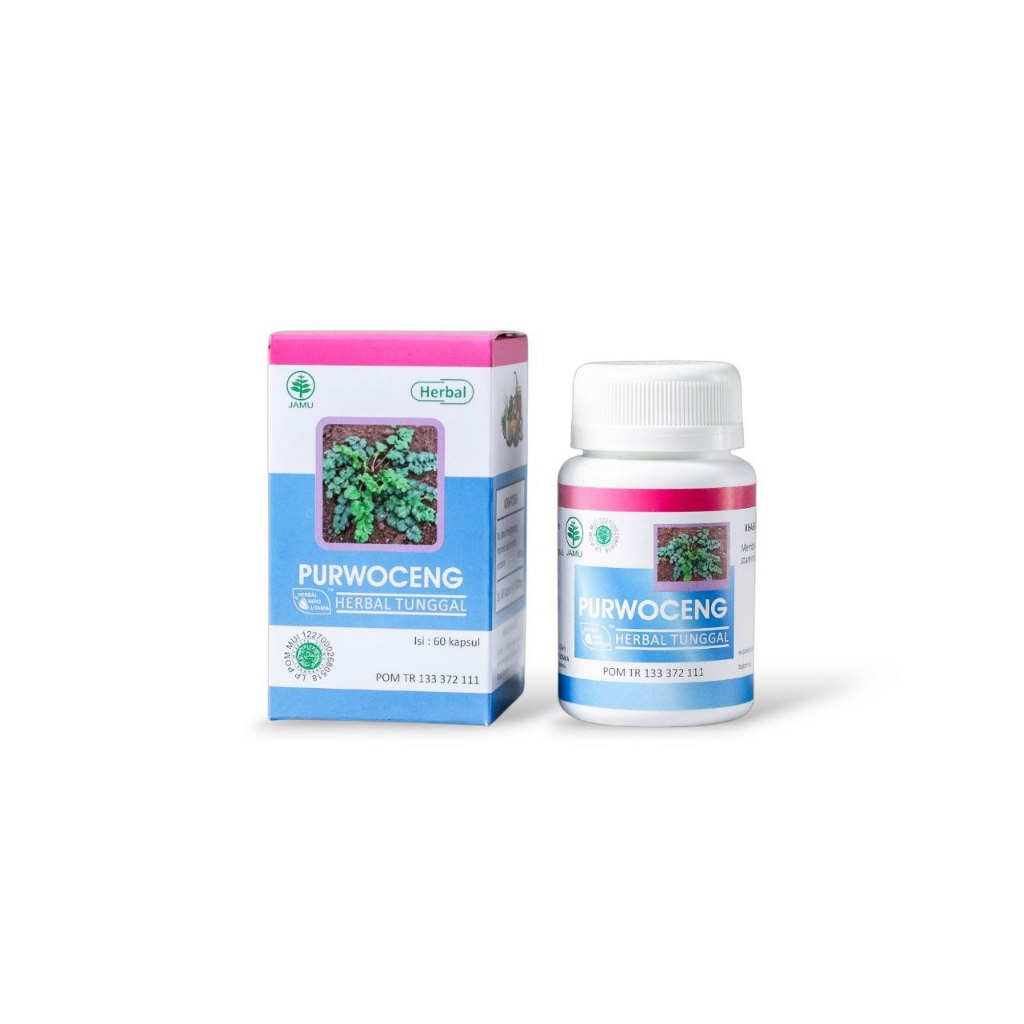 Purwoceng Herbal Tunggal Kapsul 60 Kapsul | Jamu Tradisional Resmi BPOM