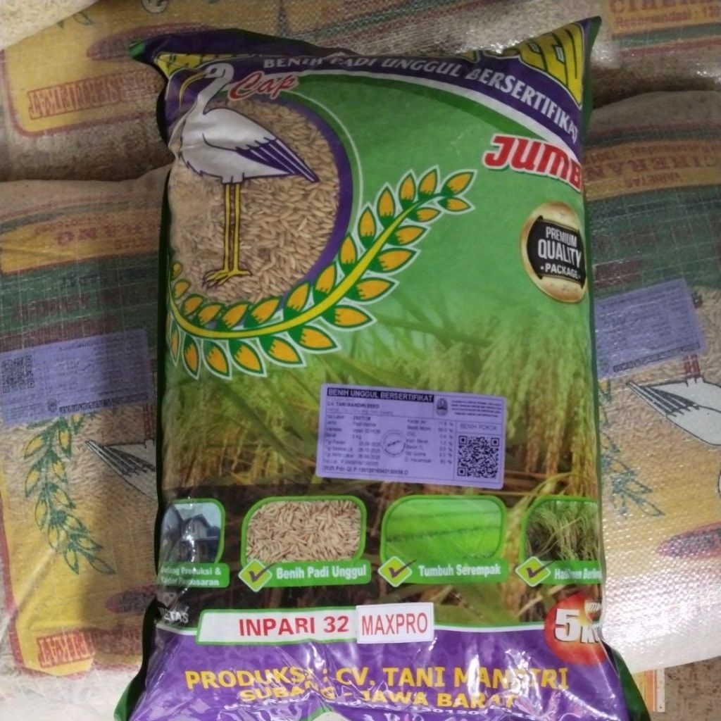 Benih Padi inpari 32 mxpro // Inpari 32 maxxi pro