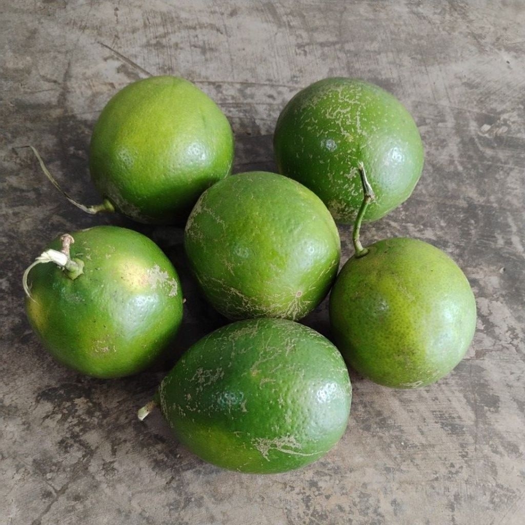 jeruk lemon california lokal 1kg