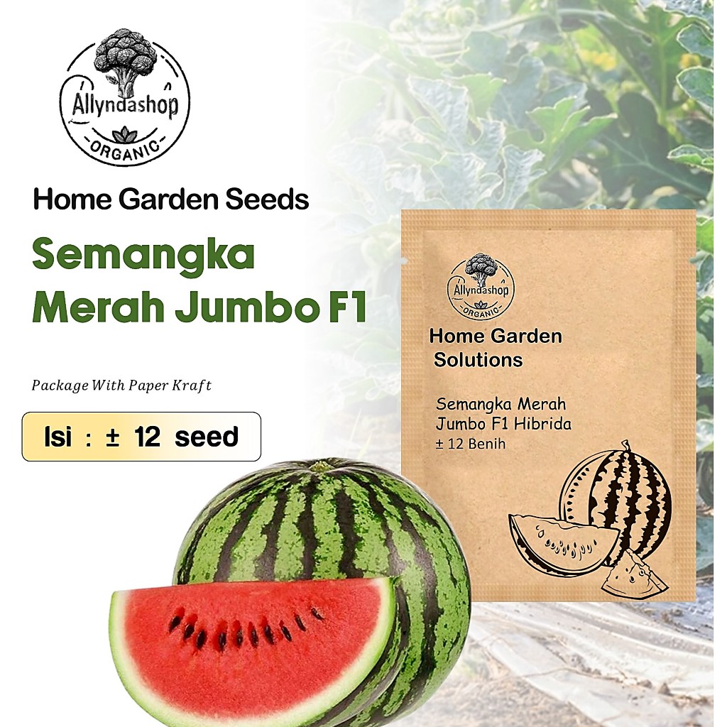 Bibit Benih  Buah Semangka Merah Jumbo Hibrida