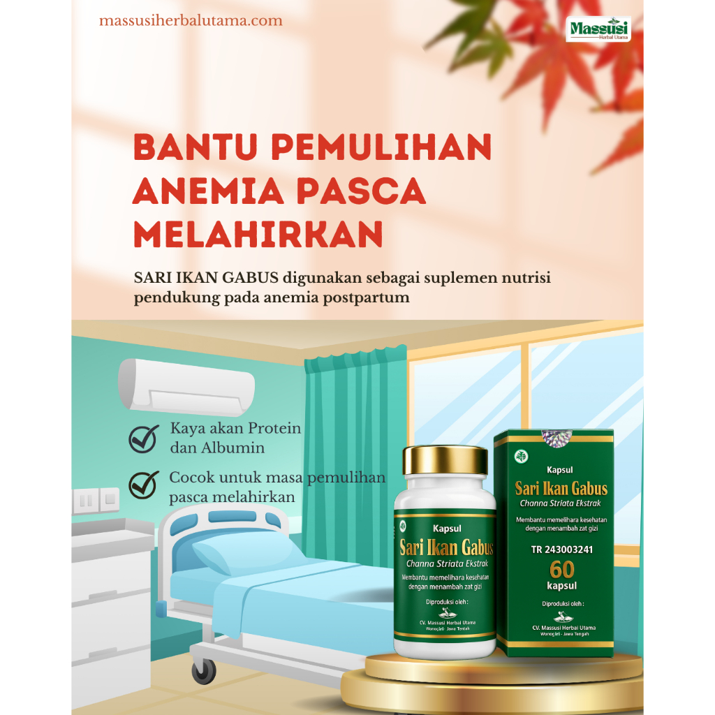 Sari Ikan Gabus Bantu Pemulihan Pasca Melahirkan (ekstrak ikan kutuk / channa)