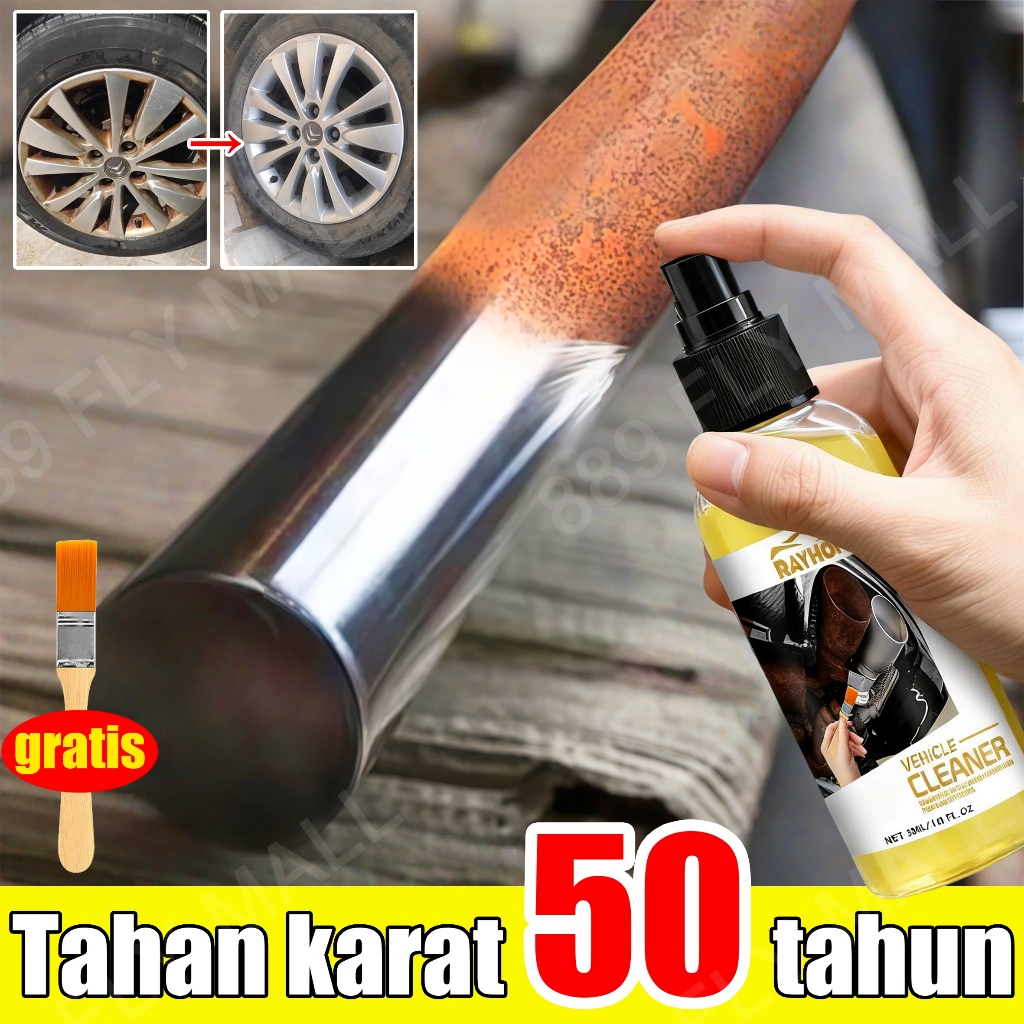 Rayhong Cairan Penghilang Karat pembersih mesin motor pembersih karat motor rust remover Penghilang 