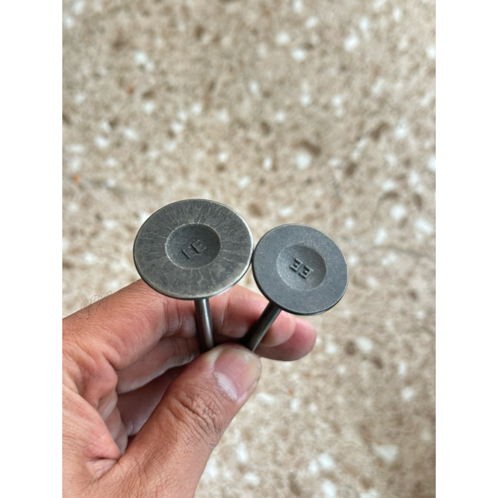 Klep EE 31 25,5 Batang 4,5 mm