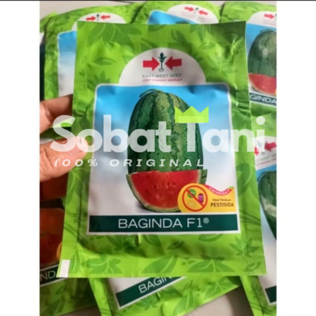 Benih Semangka Baginda F1 – Original Cap Panah Merah