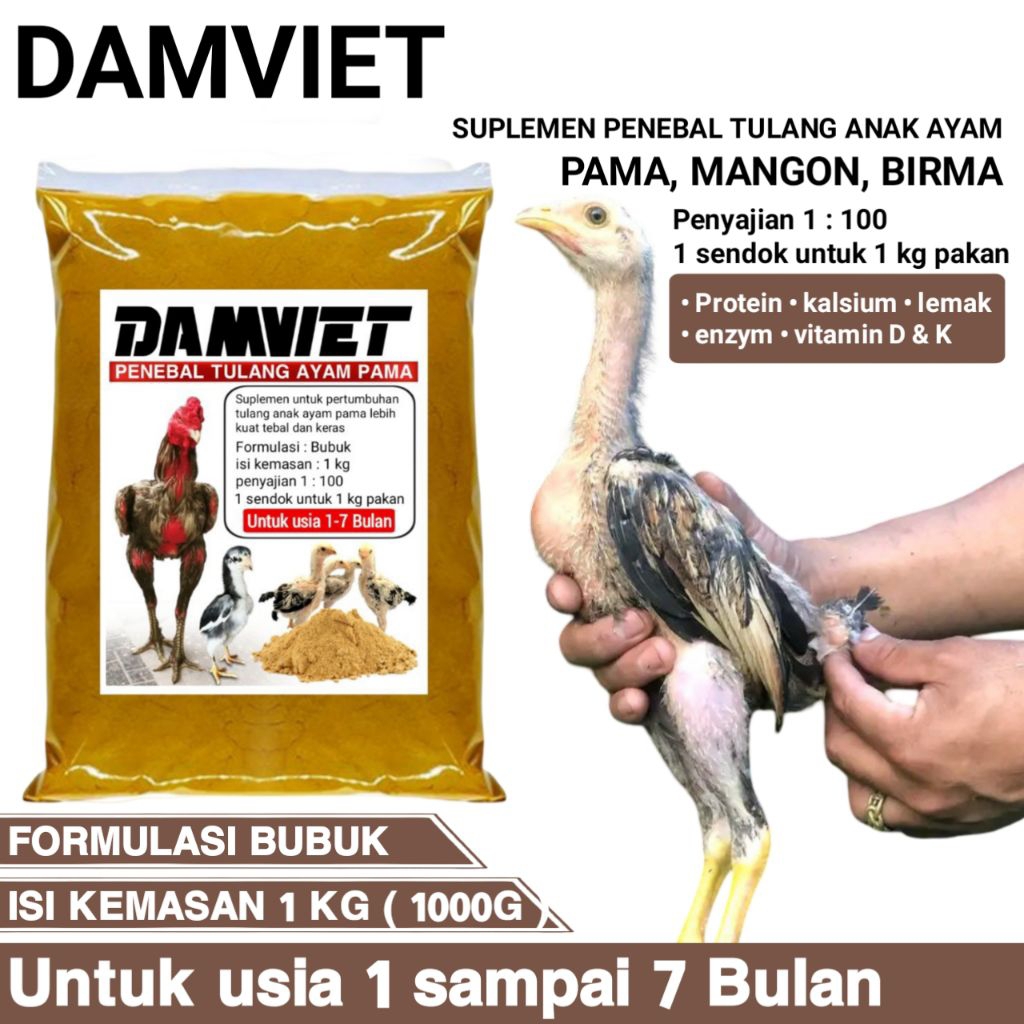 Pakan penebal tulang anak ayam mangon