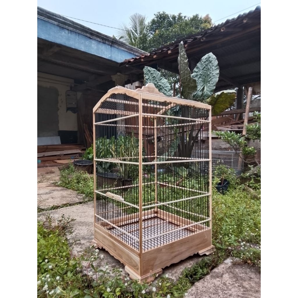 sangkar khosan cendet ceper 40x40 mentahan kayu jati dikirim ambrukan
