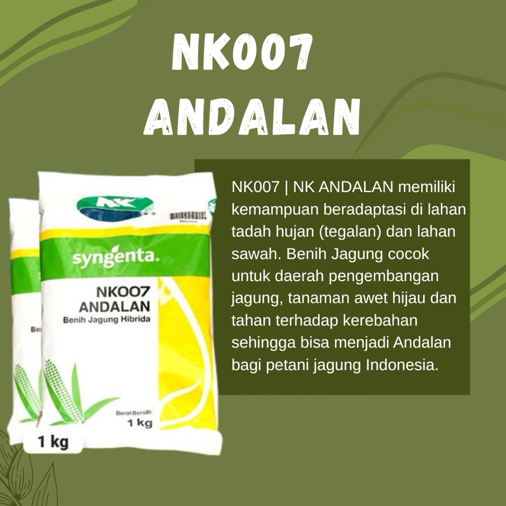 Benih Jagung Nk 007/ Benih Jagung Andalan 1KG