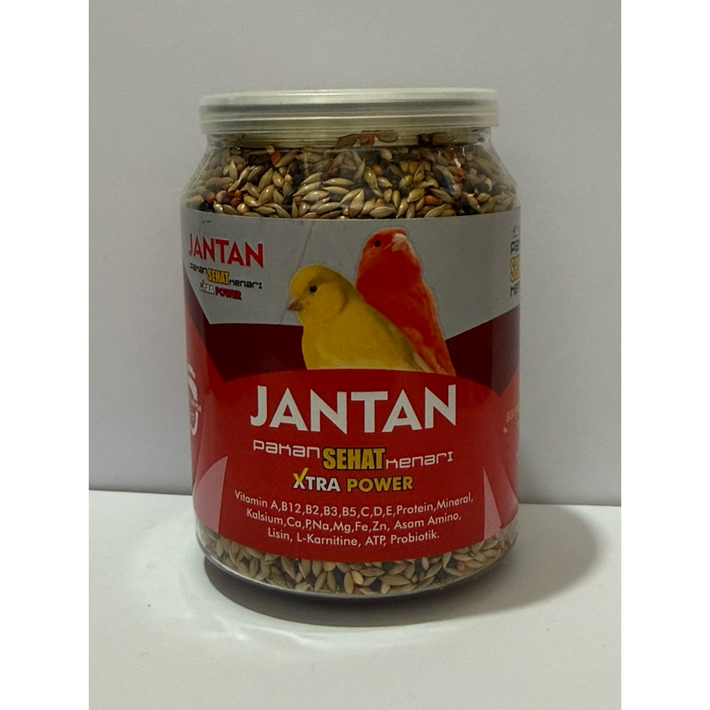jantan pakan kenari jantan pakan kenari ternak menaikan power kenari
