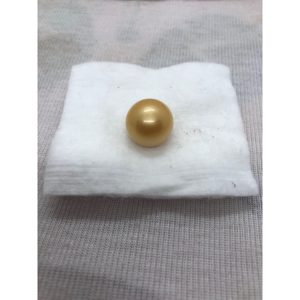 butiran mutiara air laut bakpau mutiara air laut gold matang