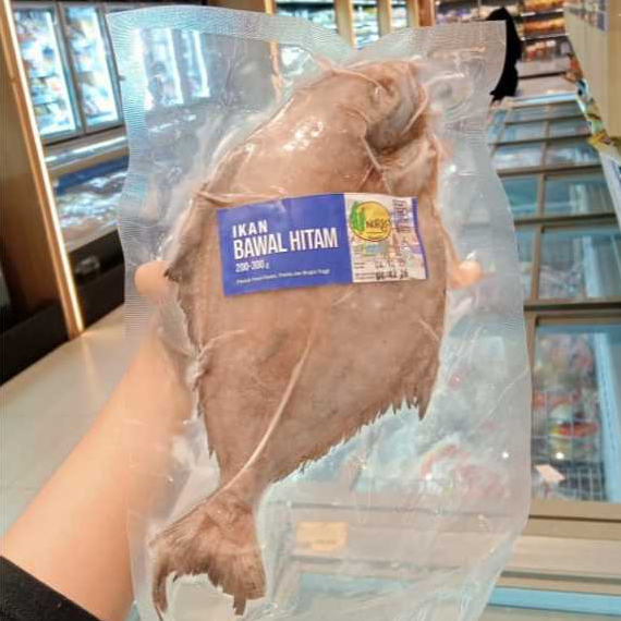 IKAN KERAPU BEKU 200-300 GRAM